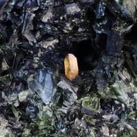 Monazite