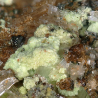 Cuprosklodowskite Jarosite & Gypsum