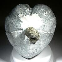 Quartz & Pyrite & Calcite Psm Fossil