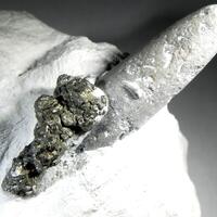 Fossil Belemnite Aragonite & Pyrite