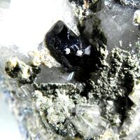 Cassiterite Apatite Wolframite Gilbertite Molybdenite Quartz
