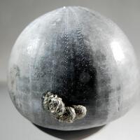 Sea Urchin With Pyrite