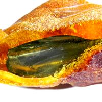 Amber With Pyrite Inclusions
