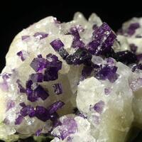 Fluorite On Calcite On Fossil Coral