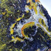 Eisenkiesel & Hematite Psm Fossil Stromatolite