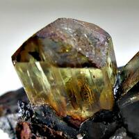 Fluorapatite