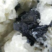 Nosean Sanidine Pyroxene Group On Biotite