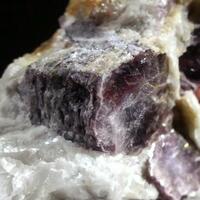 Lepidolite With Rubellite On Cleavelandite