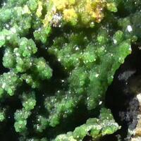 Pyromorphite