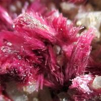 Erythrite On Quartz