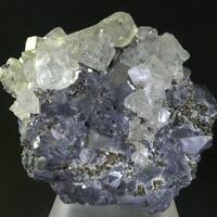 Fluorite & Pyrite On Galena