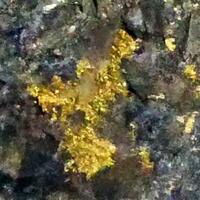 Native Gold With Arsenopyrite