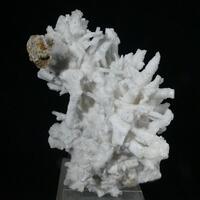 Aragonite Var Flos Ferri