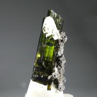 Tourmaline Var Verdelite With Lepidolite & Cleavelandite