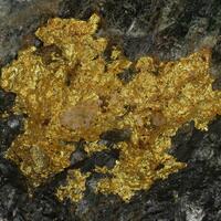 Native Gold On Biotite