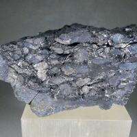 Chalcocite Psm Fossil Wood