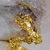 Native Gold On Quartz