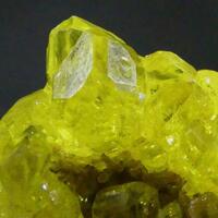 Native Sulphur