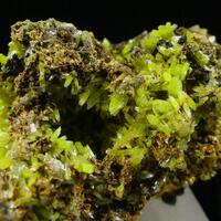 Pyromorphite