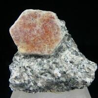 Ruby With Muscovite