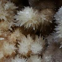 Aragonite