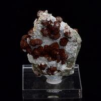 Calcite & Pyrite