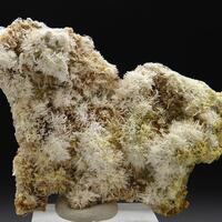 Pickeringite & Gypsum