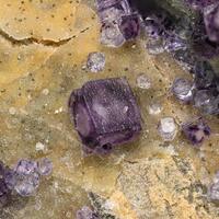 Fluorite Pyrite & Quartz