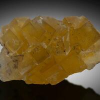 Fluorite & Quartz