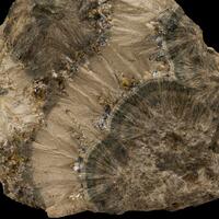 3B Minerals: 14 Jun - 21 Jun 2025