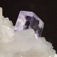 Fluorite On Calcite