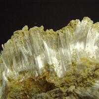 Halotrichite