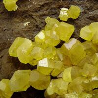 Native Sulphur