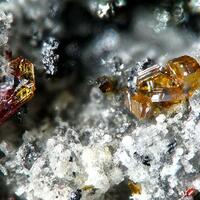 Xanthoconite & Proustite