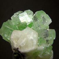 Apophyllite