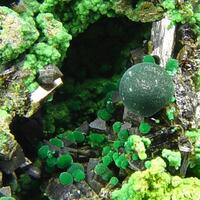 Bayldonite & Olivenite