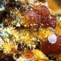 Cacoxenite Strengite & Chalcosiderite