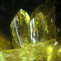 Forsterite