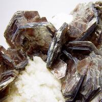 Muscovite