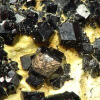 Andradite Var Melanite