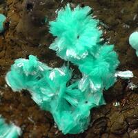 Aurichalcite