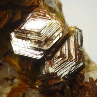 Muscovite