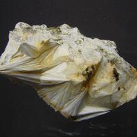 Pectolite