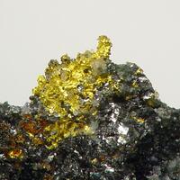 Gold & Tetradymite