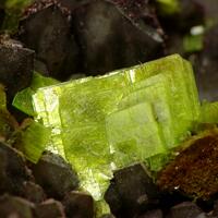 Autunite