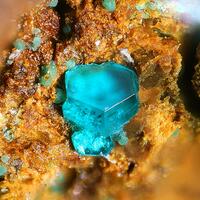 Spangolite Brochantite & Paratacamite