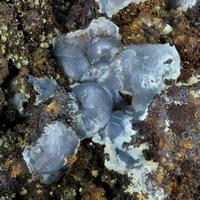 Smithsonite
