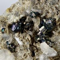 Bornite With Pyrite On Quartz