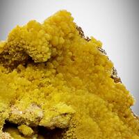 Mimetite