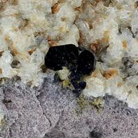 Plinius - Earth Treasures: 16 Jun - 23 Jun 2025